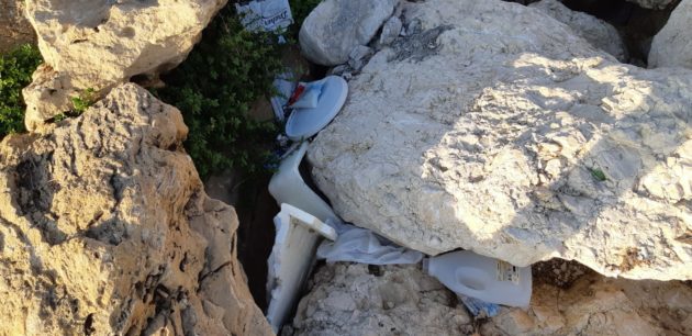 C7371D38-F562-4B01-A5C4-8FDAFC876CF1