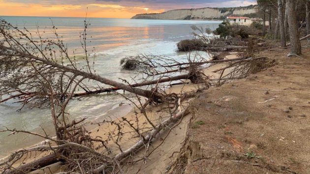 85C89DF1-E1FB-4749-B430-6141A68442D4