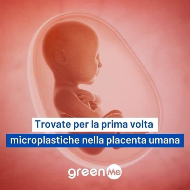 PALCENTA 135646433_2910151609216522_1582308556400902285_n